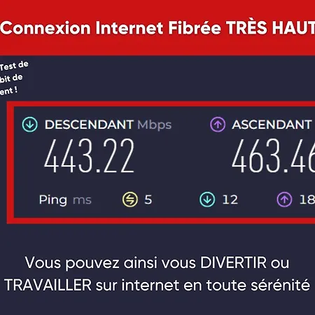 Guest house Flowers Hypercentre Calme Fibre Roubaix